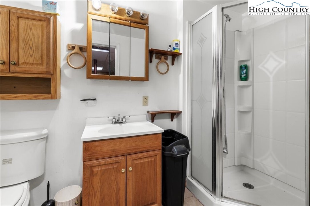 2352 Cedar Springs Road Rural Retreat, VA 24368 - Photo 26 of 50 a bathroom with a sink a toilet and shower