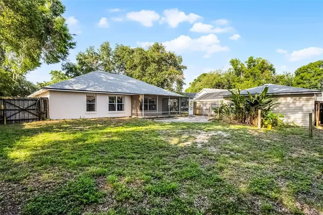 a view of a bunch of plants and trees