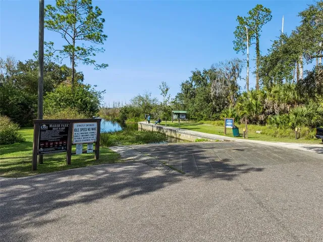 a view of a park with large trees