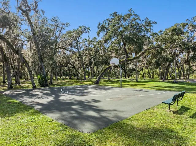 a view of a city with lush green forest