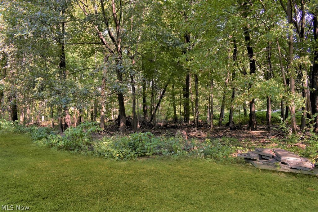 25896 Butternut Ridge Road North Olmsted, OH 44070 - Photo 4 of 5 Gallery Image 4