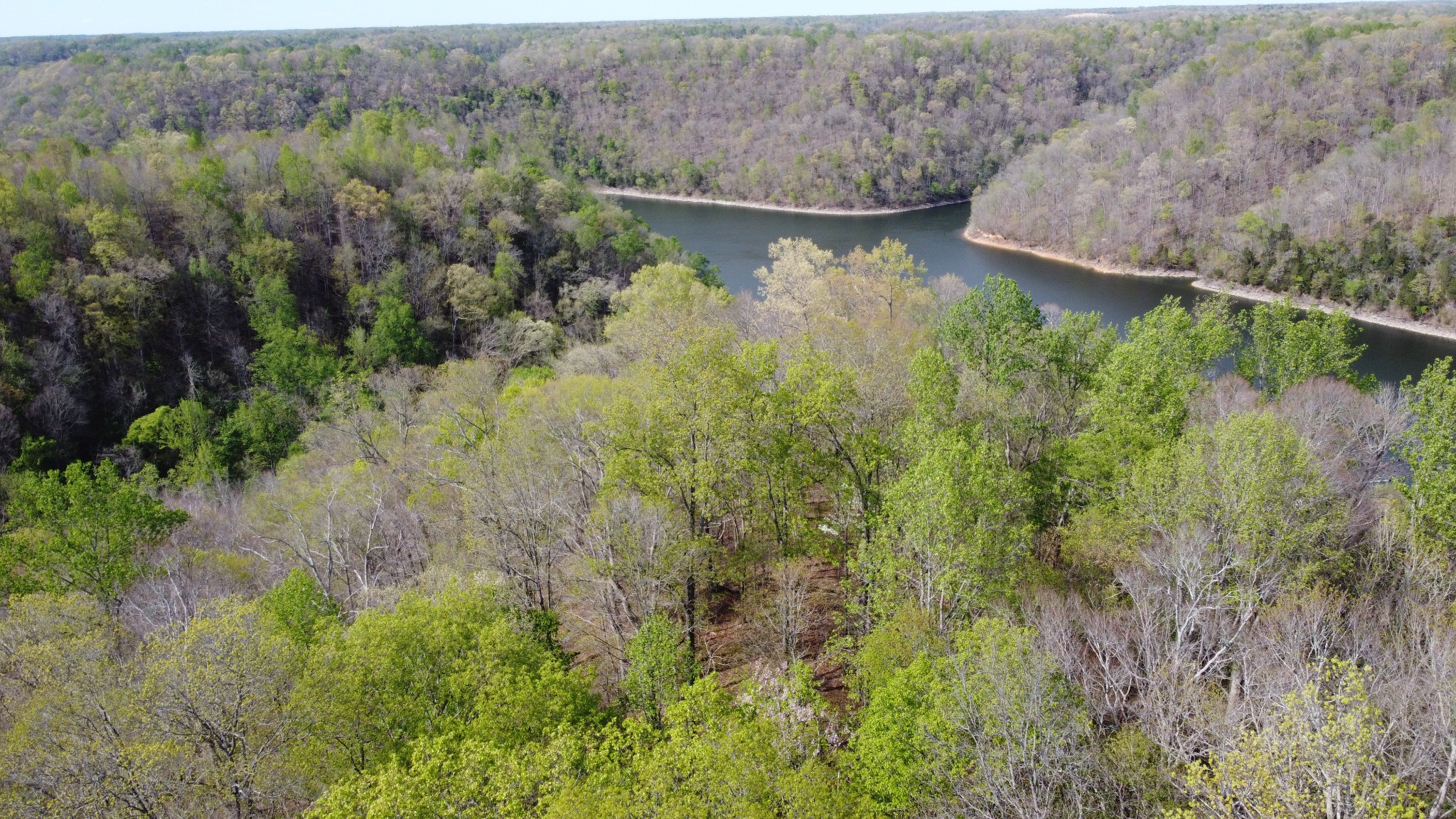 0 Johnson Chapel Road Sparta, TN 38583 - Photo 7 of 10 a view of a lake with a yard