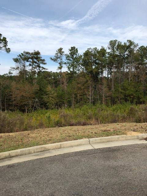 305 Steeple Ridge Road Aiken, SC 29803 - Photo 1 of 5 Main View