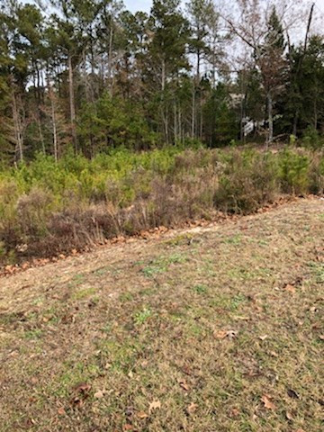 305 Steeple Ridge Road Aiken, SC 29803 - Photo 4 of 5 Gallery Image 4