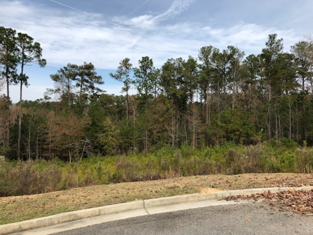 305 Steeple Ridge Road Aiken, SC 29803 - Photo 5 of 5 Gallery Image 5