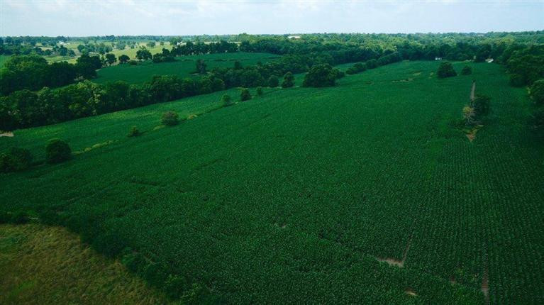 1 Paynes Mill Road Versailles, KY 40383 - Photo 27 of 36 Photo 27
