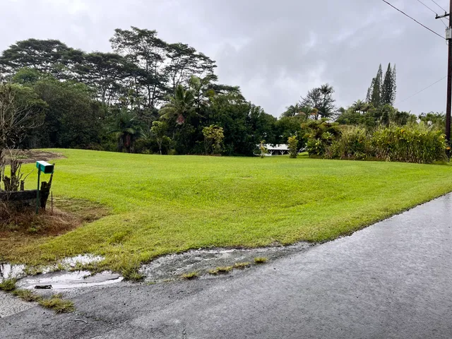 a view of a field with an ocean