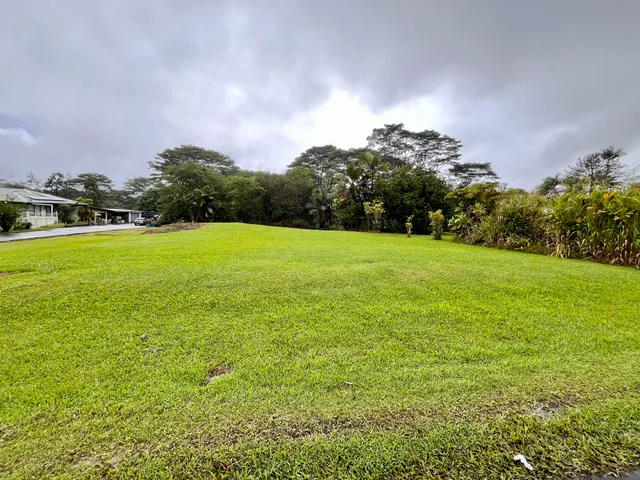 a view of a field with an ocean