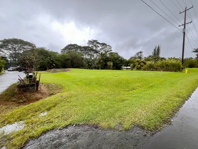 a view of an ocean from a yard