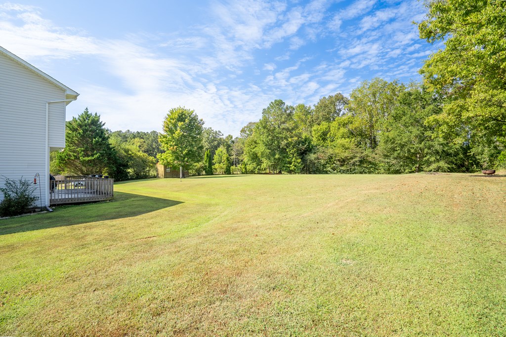 573 Mccamy Sumach Road Chatsworth, GA 30705 - Photo 47 of 55 Gallery Image 47
