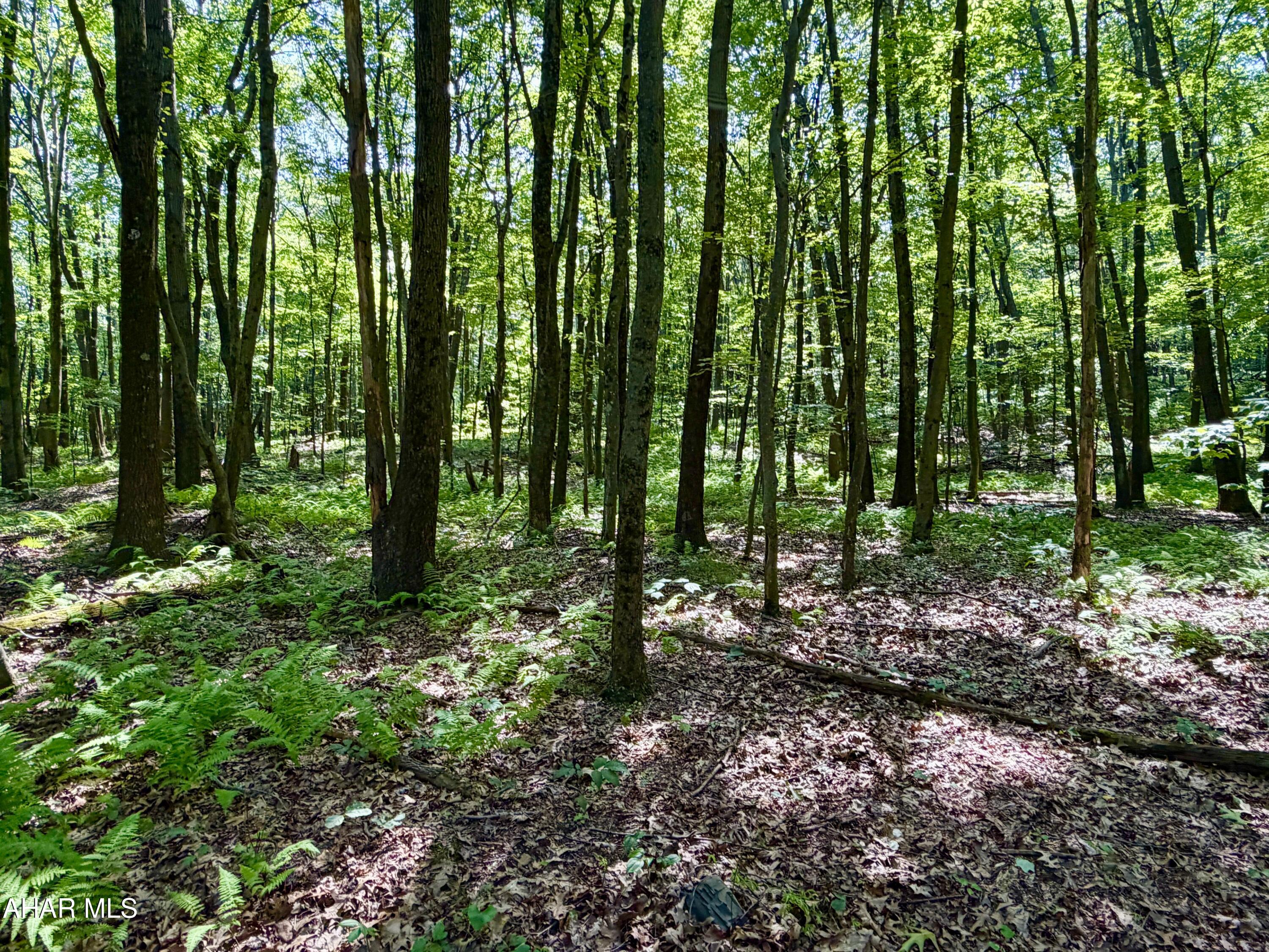 3243 Church View Road New Enterprise, PA 16664 - Photo 32 of 40