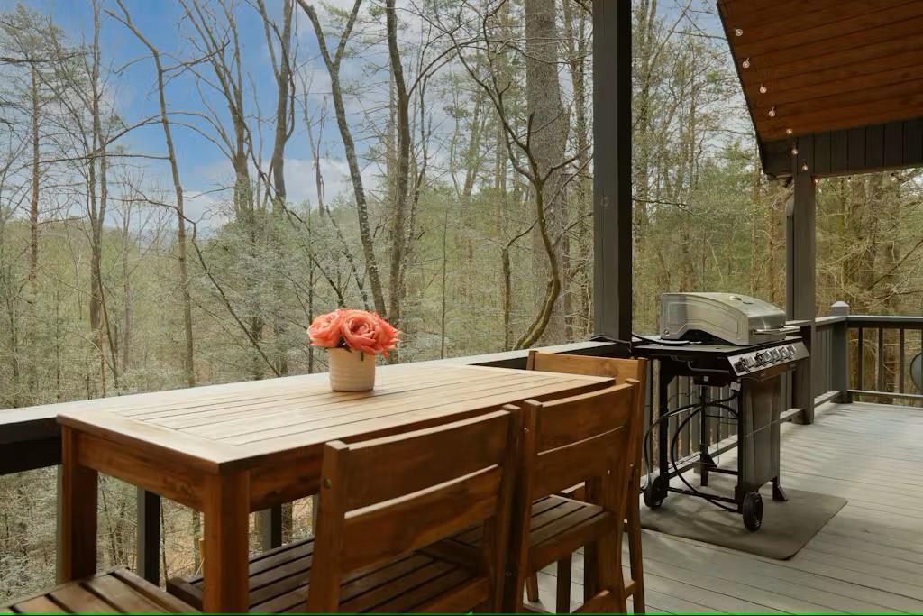 187 Bear Paw Trail Blue Ridge, GA 30513 - Photo 17 of 62 Gallery Image 17