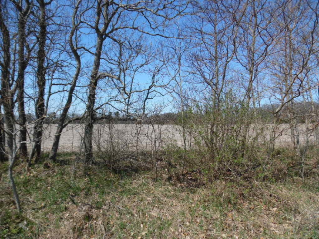 6 Atwood Road Dowagiac, MI 49047 - Photo 9 of 16 SAM_1118