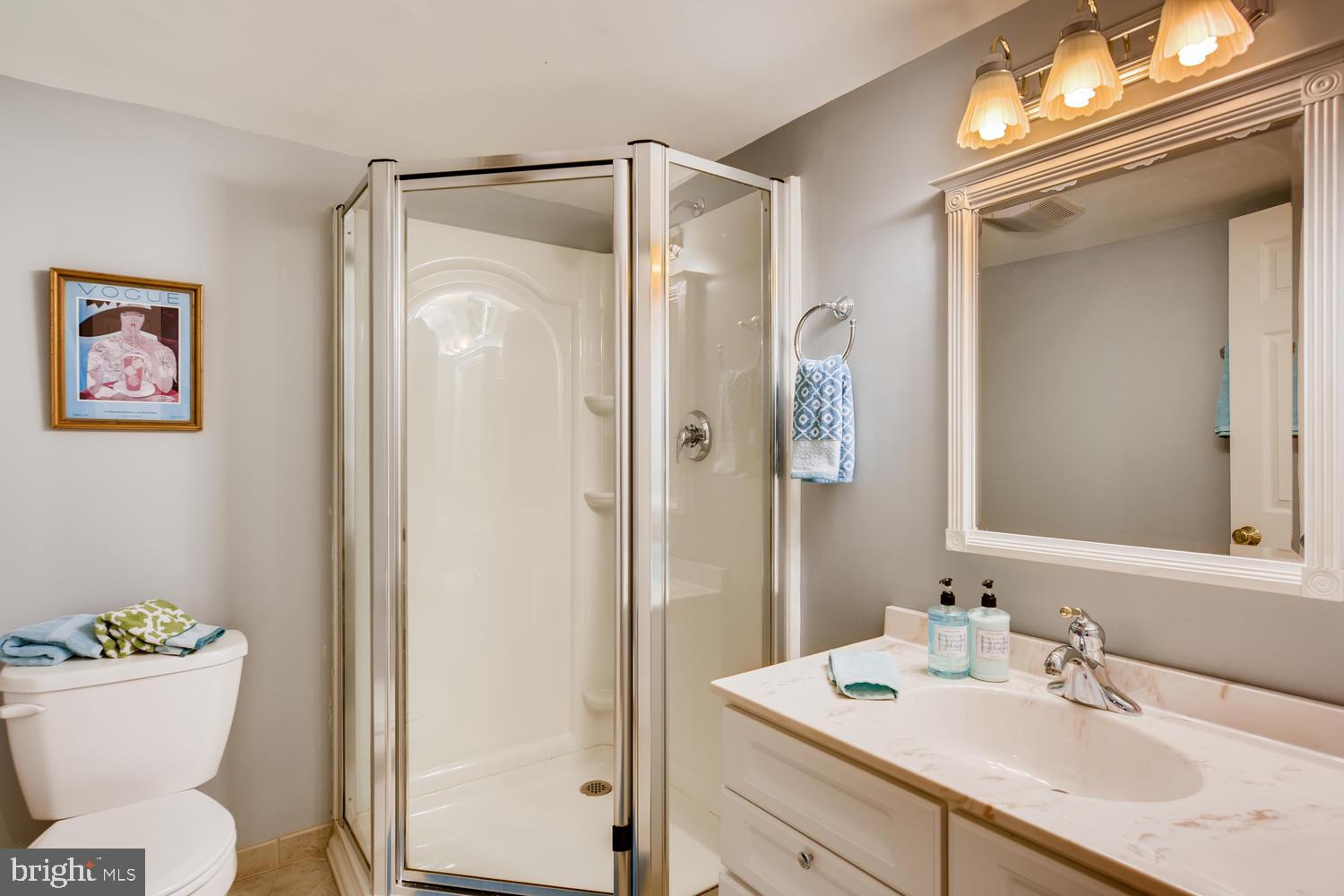 41 Murdock Road Baltimore, MD 21212 - Photo 23 of 30 Lower level full bath with stall shower