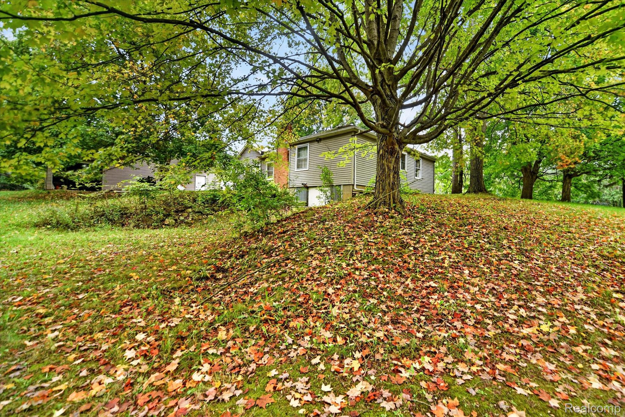 1730 Haslett Road Haslett, MI 48840 - Photo 29 of 31 Expansive grounds featuring a mature shade tree and established shrubbery