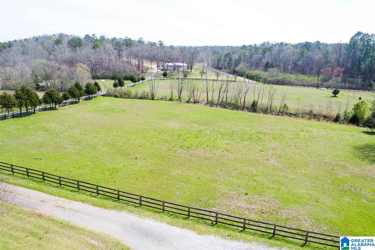 1701 Red Valley Road Remlap, AL 35133 - Photo 43 of 50