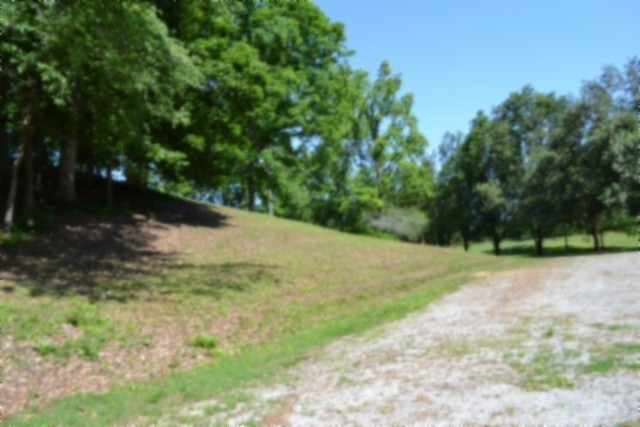 318 Rock Springs Road Celina, TN 38551 - Photo 28 of 87 a view of a yard with a tree
