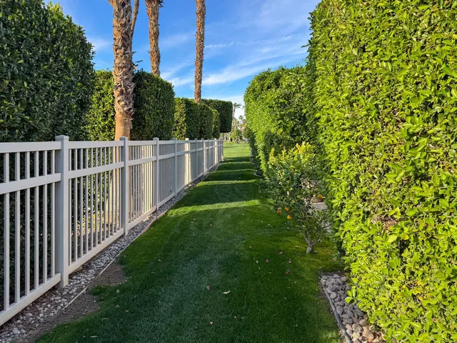 a view of a yard with plants and wooden fence
