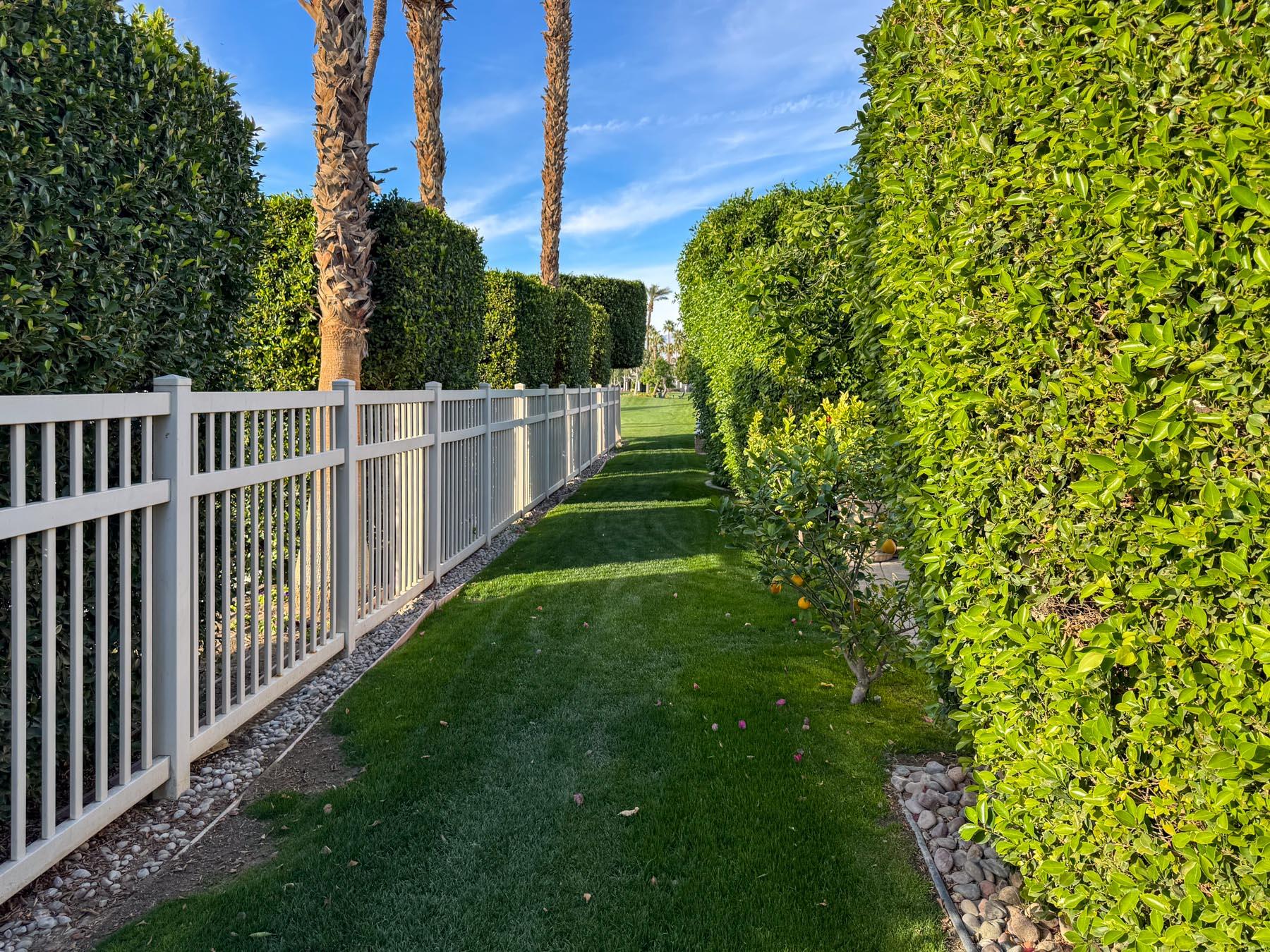 80394 Ave 48, Unit 36 Indio, CA 92201 - Photo 7 of 17 a view of a yard with plants and wooden fence
