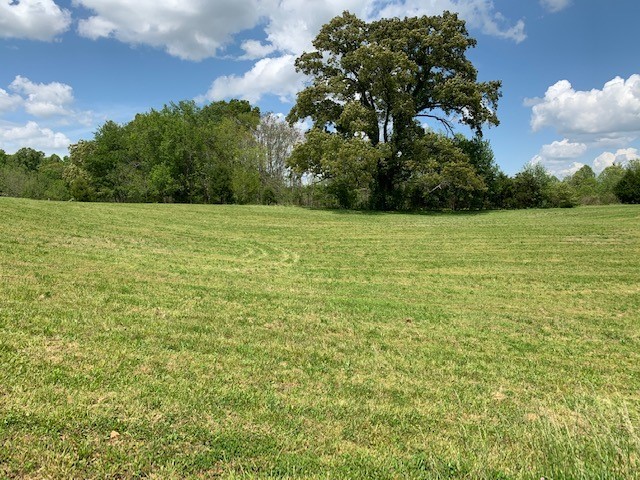 a view of a field with an trees