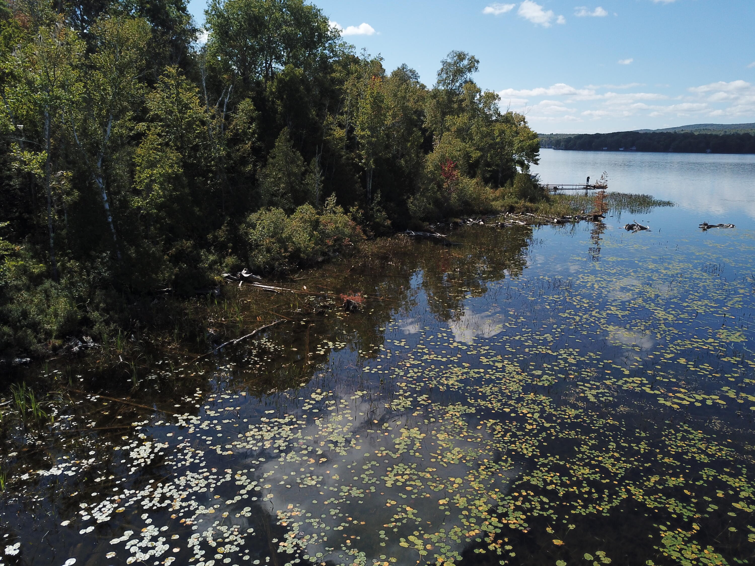 Tbd Dexter Road St. Albans, ME 04971 - Photo 3 of 8 DJI_0004