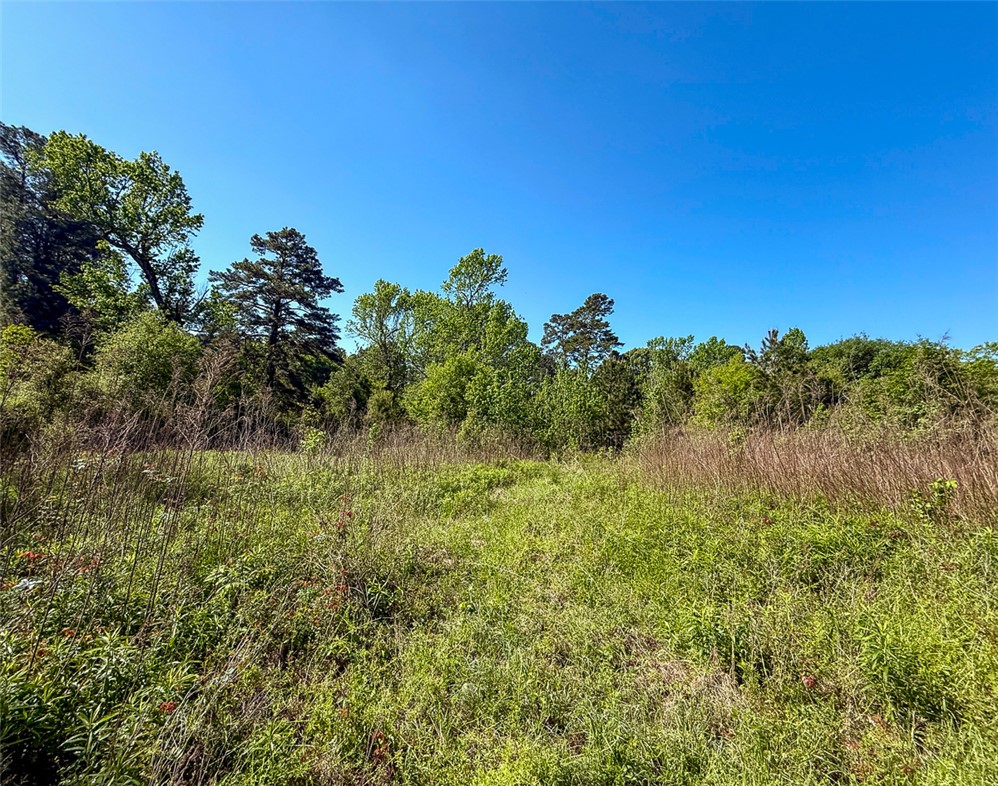 0 Old Houston Road Huntsville, TX 77340 - Photo 9 of 12 Gallery Image 9