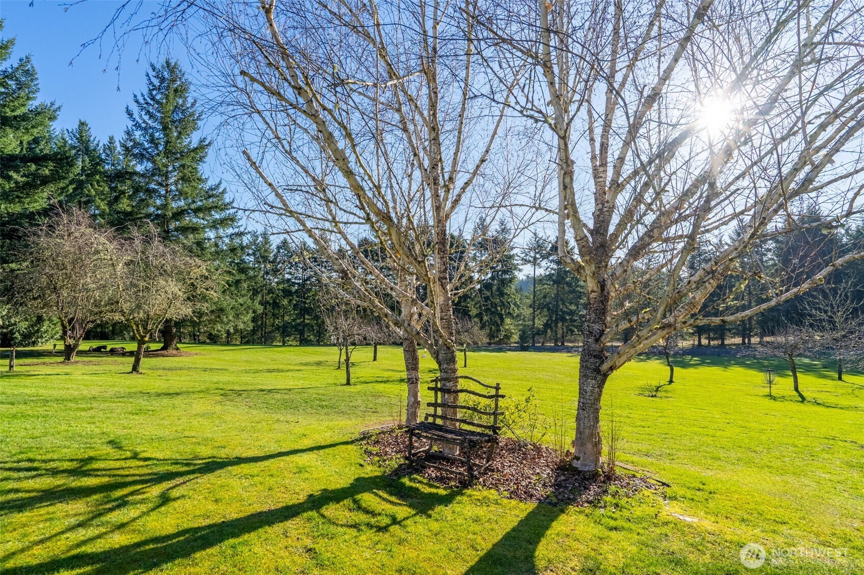 2599 Seminary Hill Road Centralia, WA 98531 - Photo 29 of 38