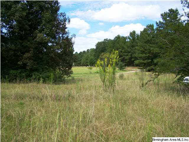 2231 Camp Brownie Road, Unit 5 AC Sylacauga, AL 35151 - Photo 6 of 15