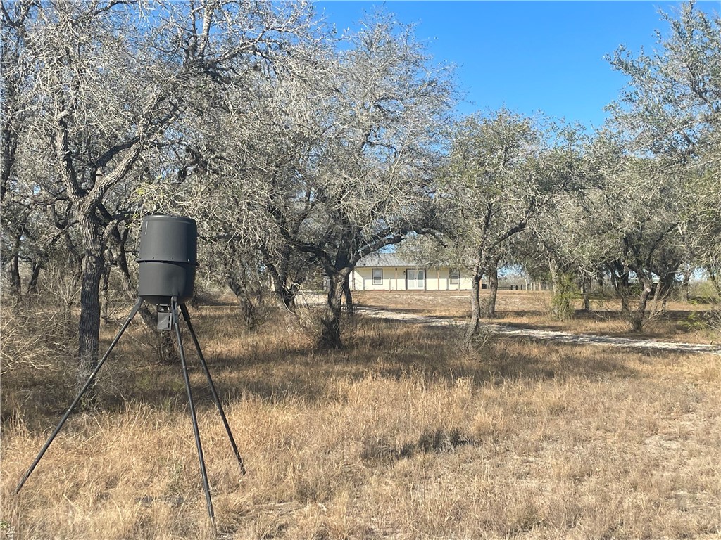 7879 Chestnut Road Beeville, TX 78102 - Photo 4 of 40
