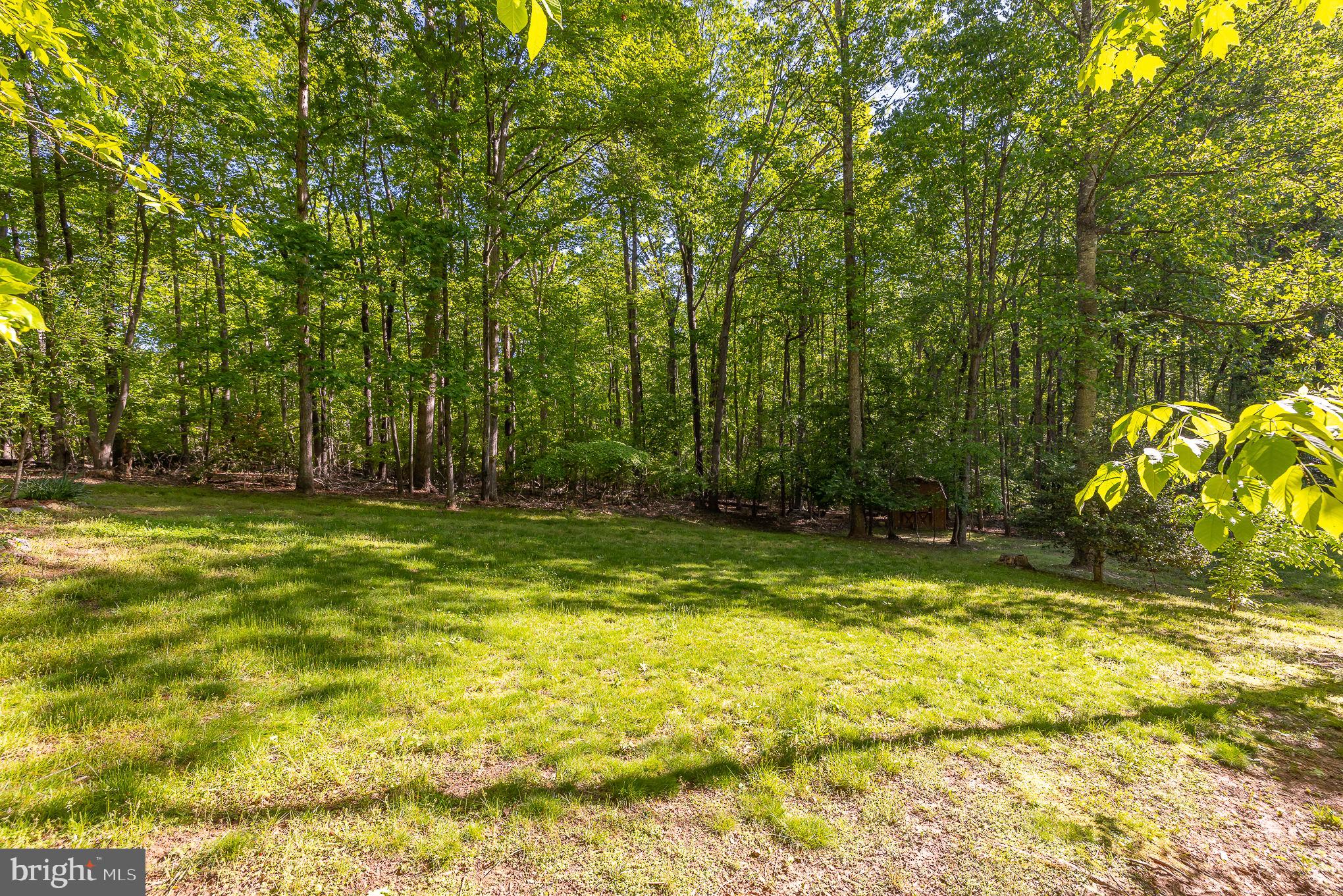 114 Windswept Road Mineral, VA 23117 - Photo 13 of 62 Gallery Image 13