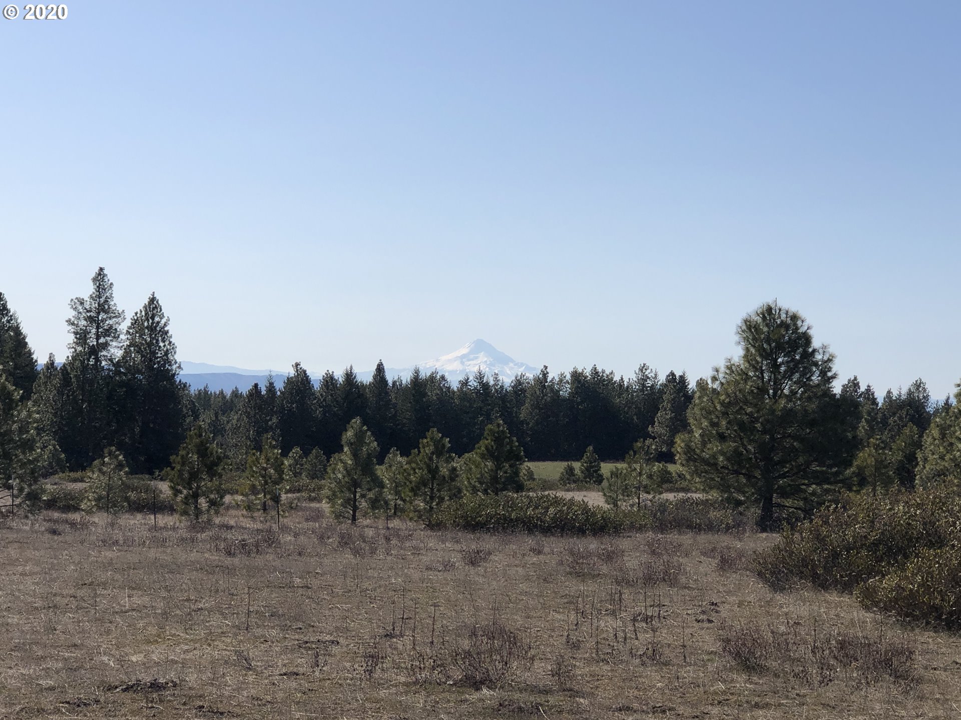 Firwood Road Goldendale, WA 98620 - Photo 2 of 16 Gallery Image 2
