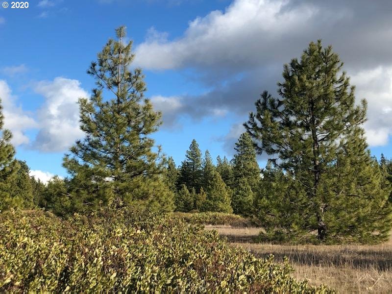 Firwood Road Goldendale, WA 98620 - Photo 12 of 16 Gallery Image 12