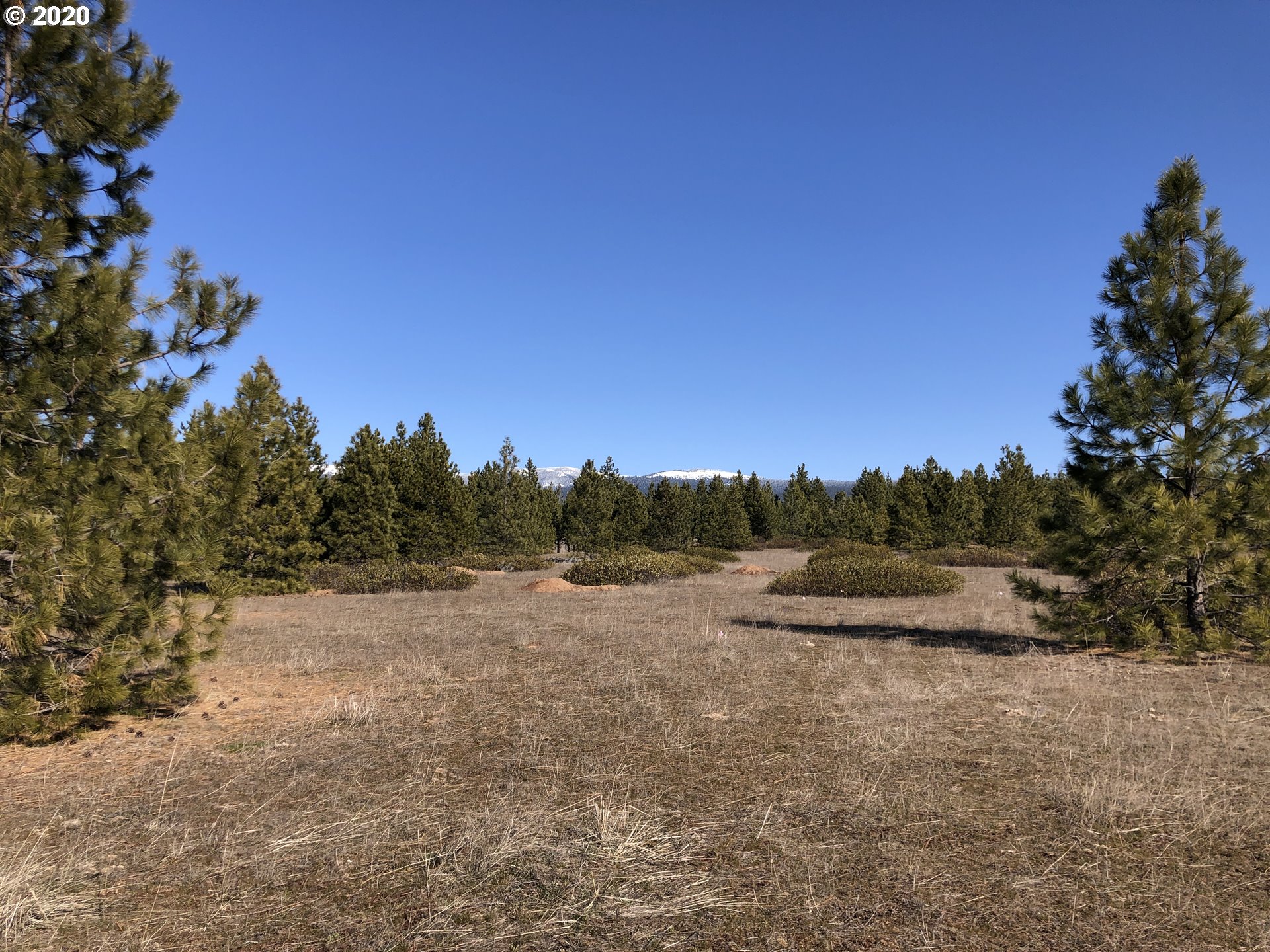 Firwood Road Goldendale, WA 98620 - Photo 13 of 16 Gallery Image 13