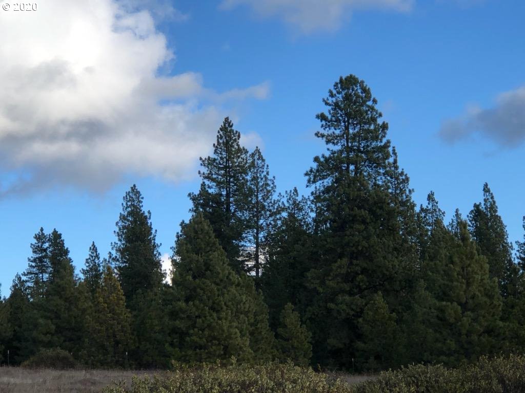 Firwood Road Goldendale, WA 98620 - Photo 15 of 16 Gallery Image 15