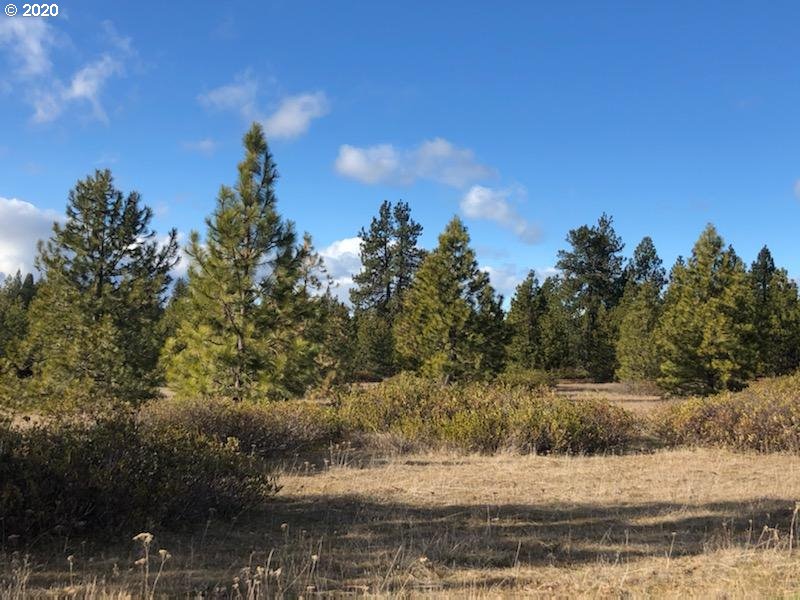 Firwood Road Goldendale, WA 98620 - Photo 16 of 16 Gallery Image 16