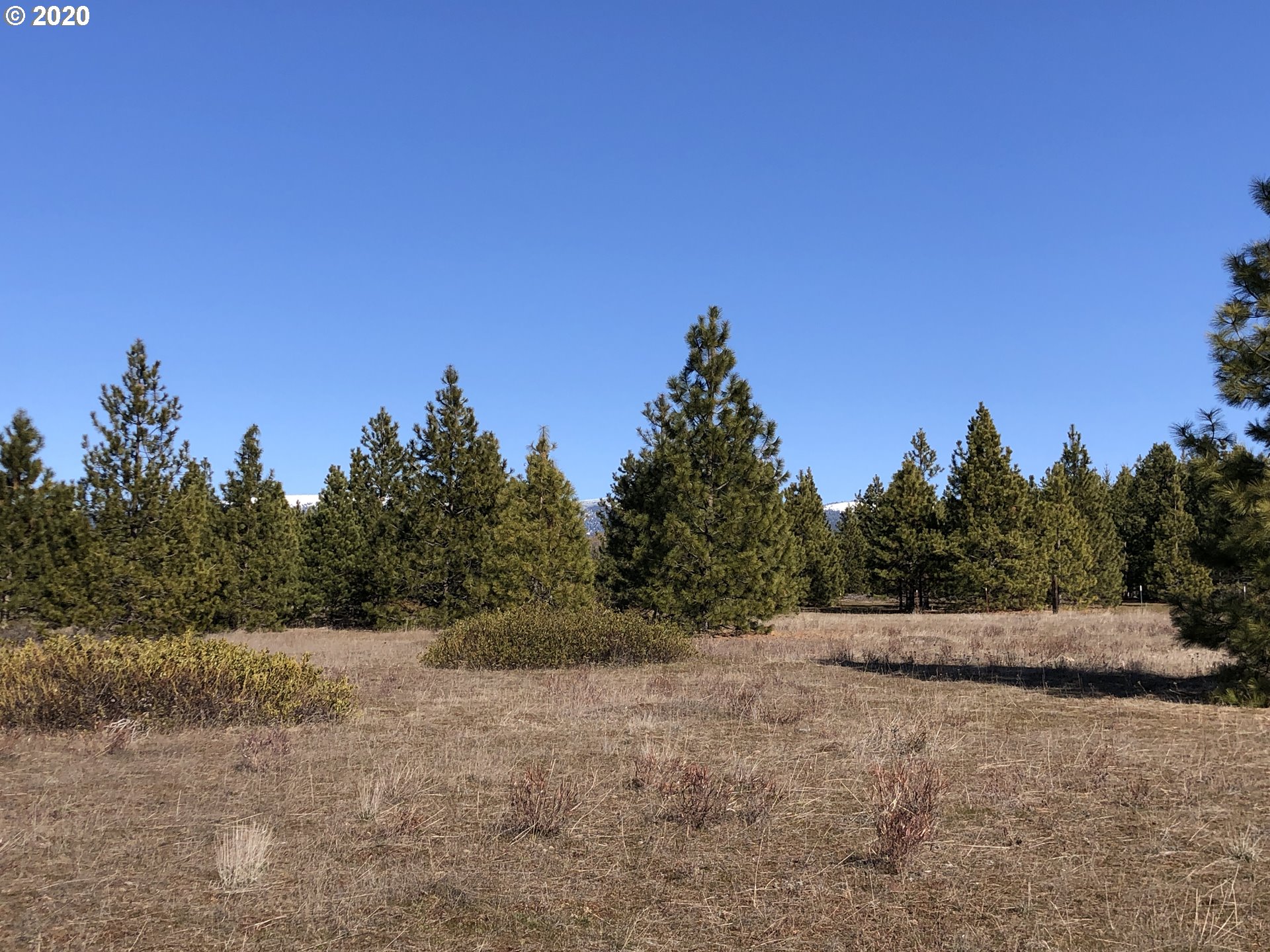 Firwood Road Goldendale, WA 98620 - Photo 5 of 16 Gallery Image 5