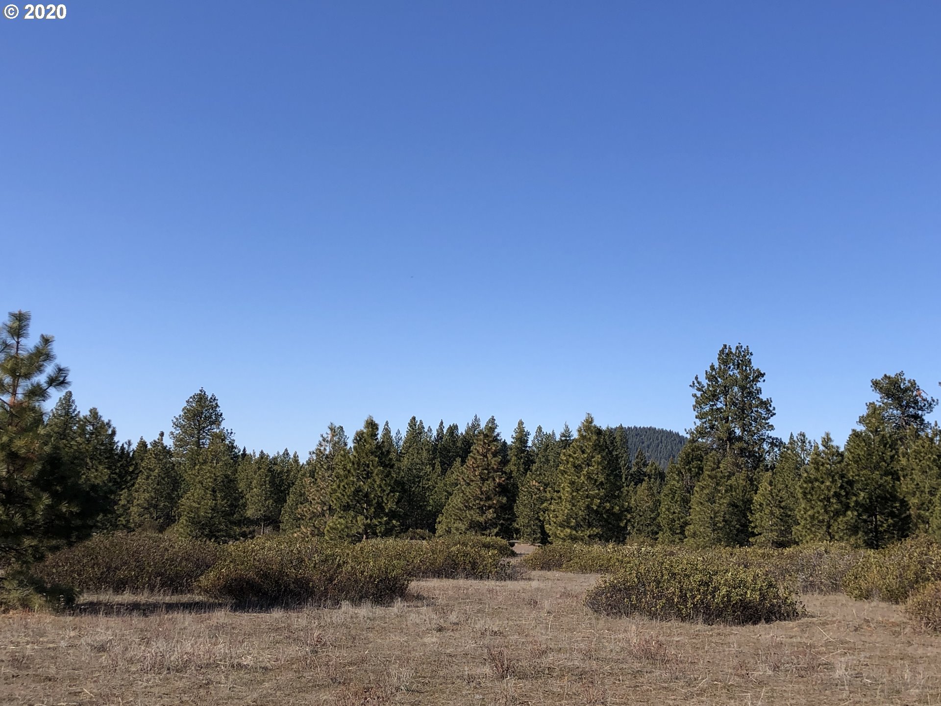 Firwood Road Goldendale, WA 98620 - Photo 6 of 16 Gallery Image 6
