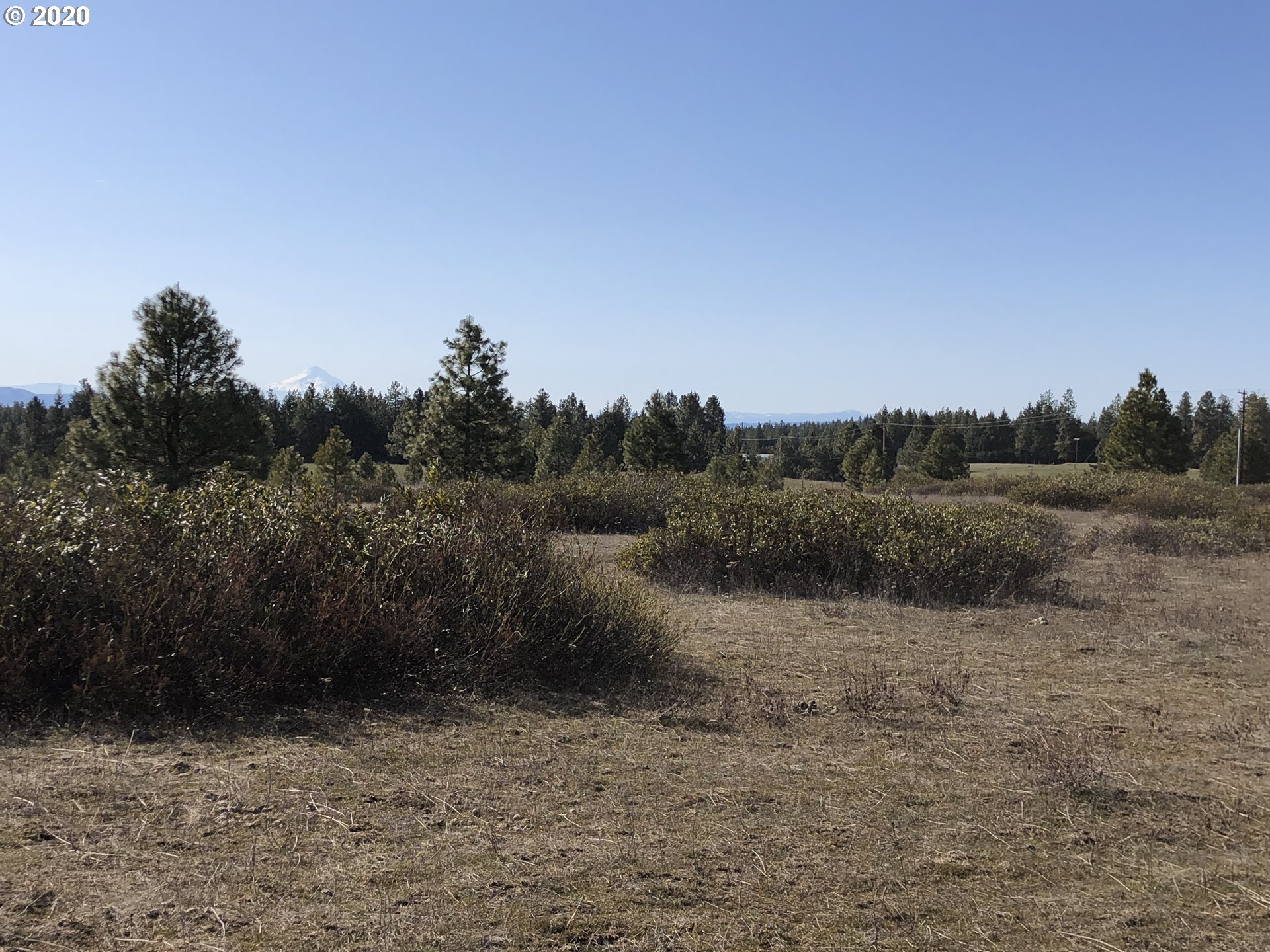 Firwood Road Goldendale, WA 98620 - Photo 7 of 16 Gallery Image 7
