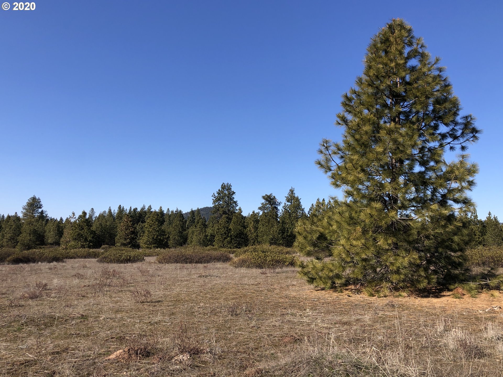 Firwood Road Goldendale, WA 98620 - Photo 10 of 16 Gallery Image 10