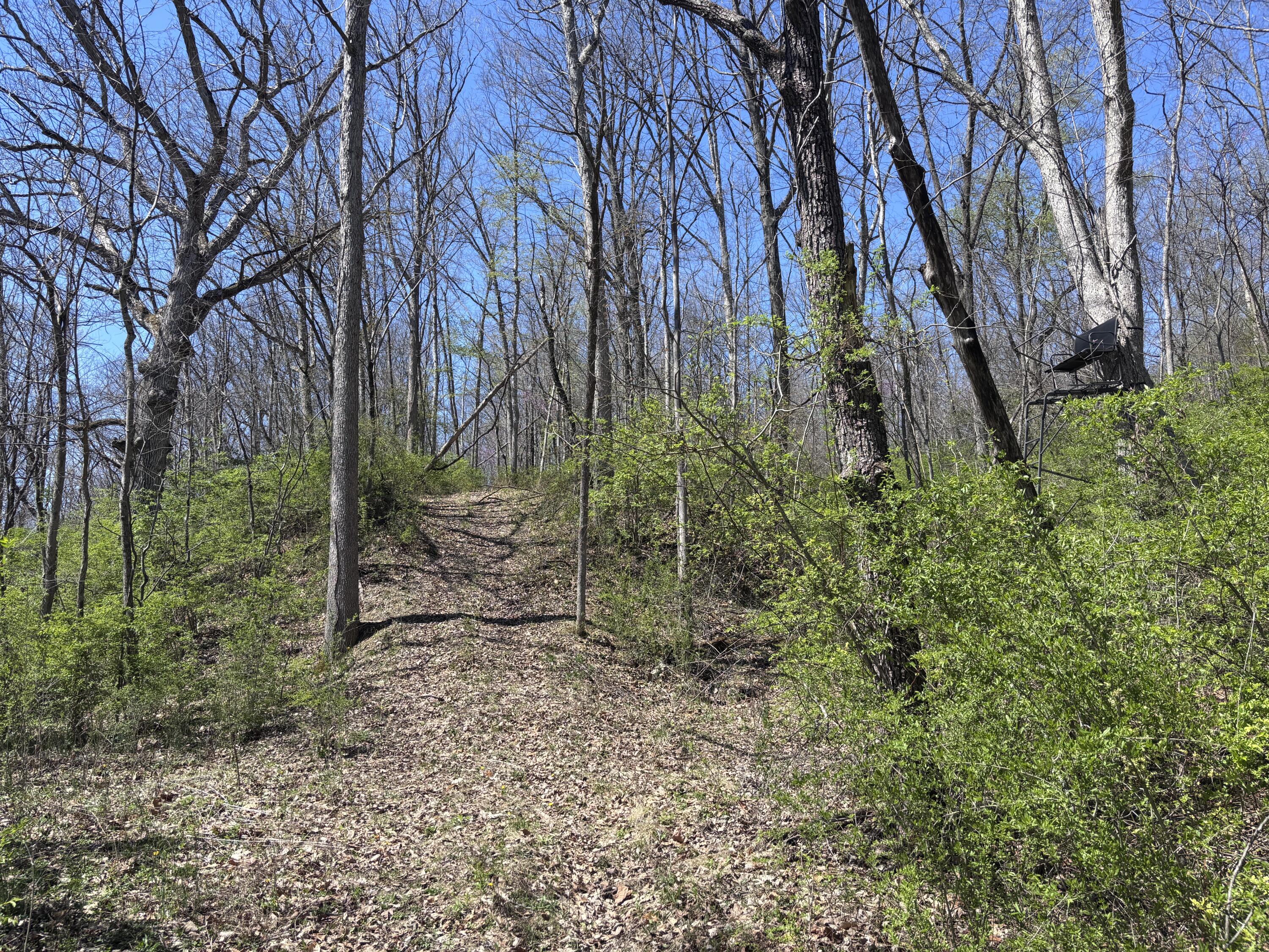 121 State New Paris, OH 45347 - Photo 40 of 60