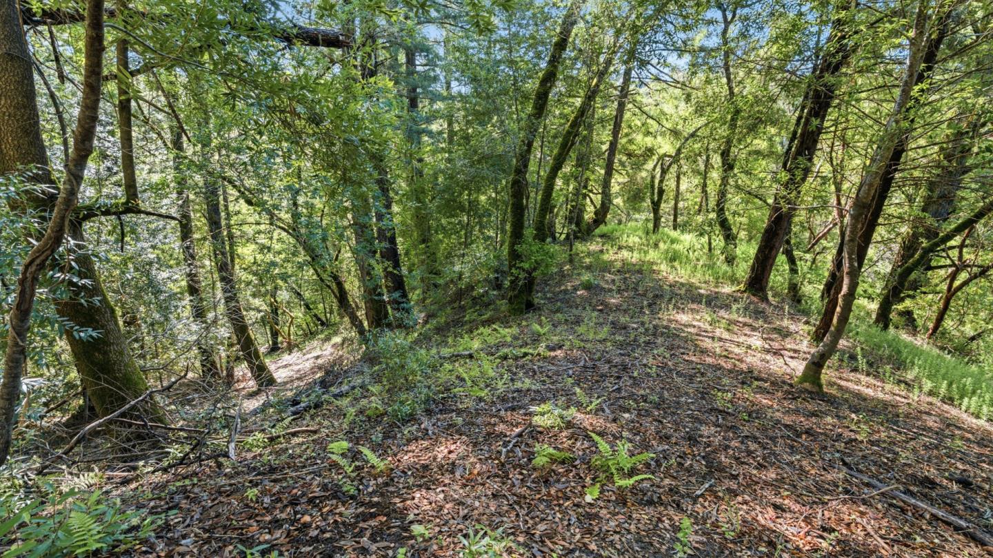 360 Rincon Way Boulder Creek, CA 95006 - Photo 11 of 46