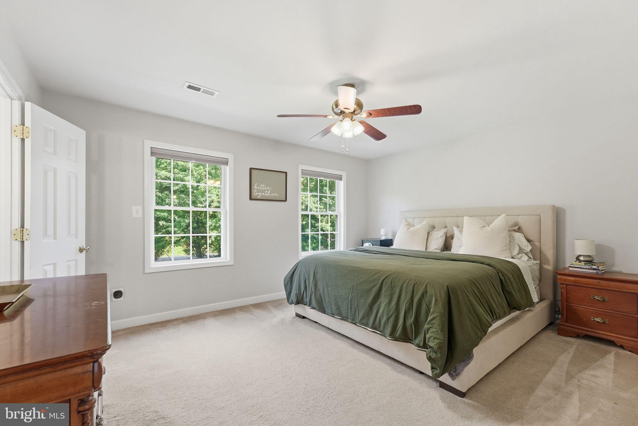 18198 Springs Road Jeffersonton, VA 22724 - Photo 40 of 80 Primary Bedroom
