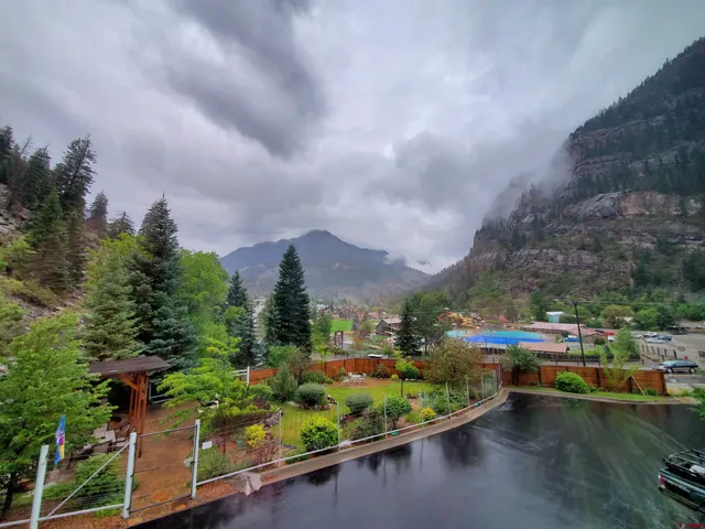 a view of a backyard with plants and a garden