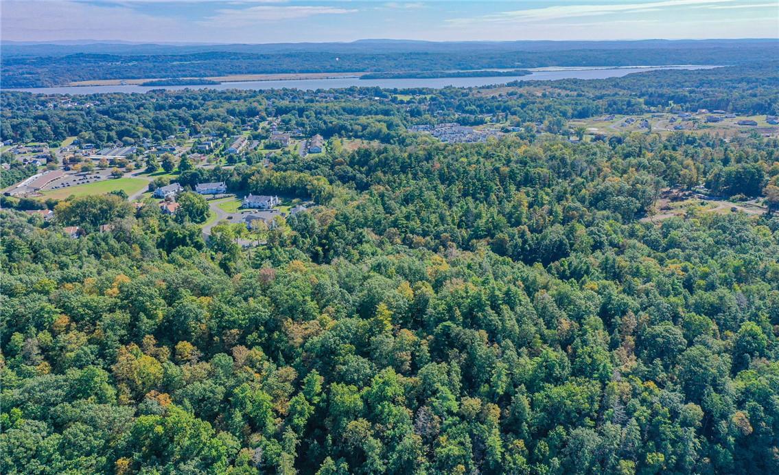 Tiger Maple Saugerties, NY 12477 - Photo 3 of 6