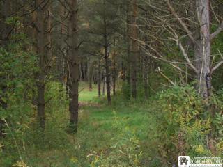 Hanson Road Gerry, NY 14740 - Photo 1 of 1 Gallery Image 1