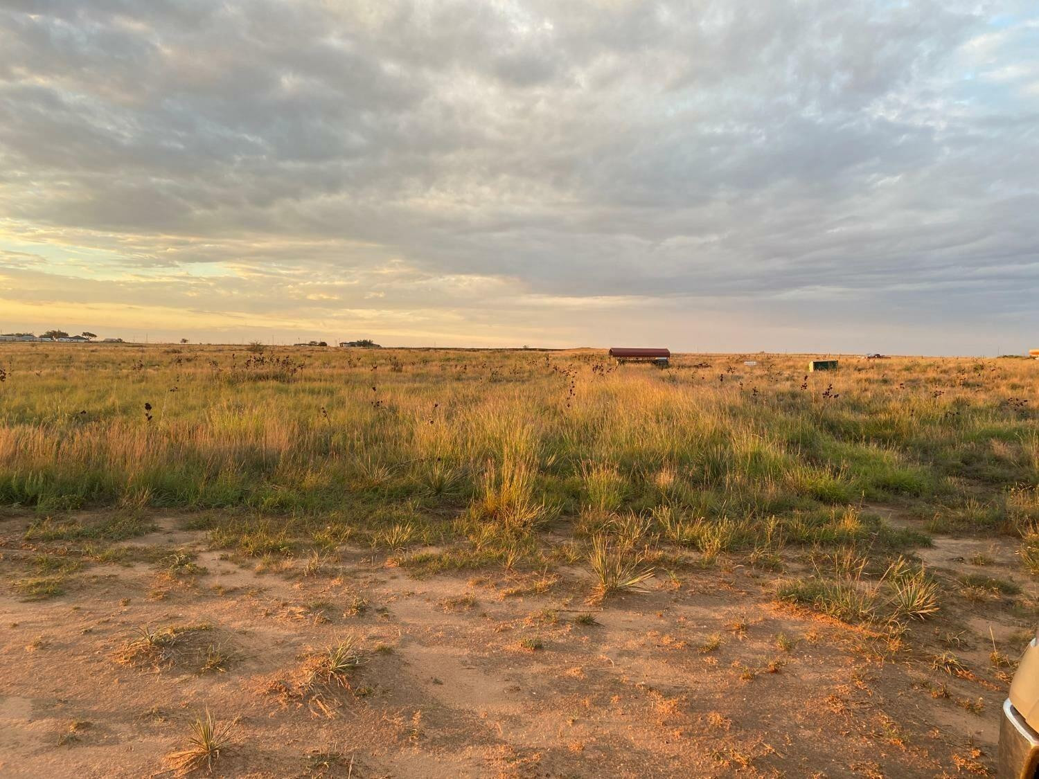 East Ellis Street Lubbock, TX 79407 - Photo 2 of 4 Photo 3