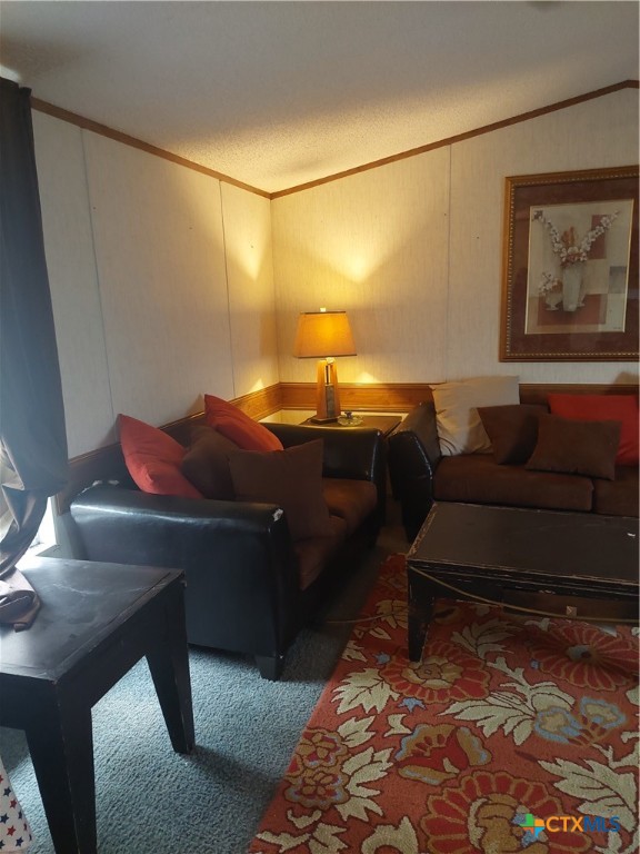 22159 Private Road 1080 Mathis, TX 78368 - Photo 11 of 12 a living room with furniture and a rug