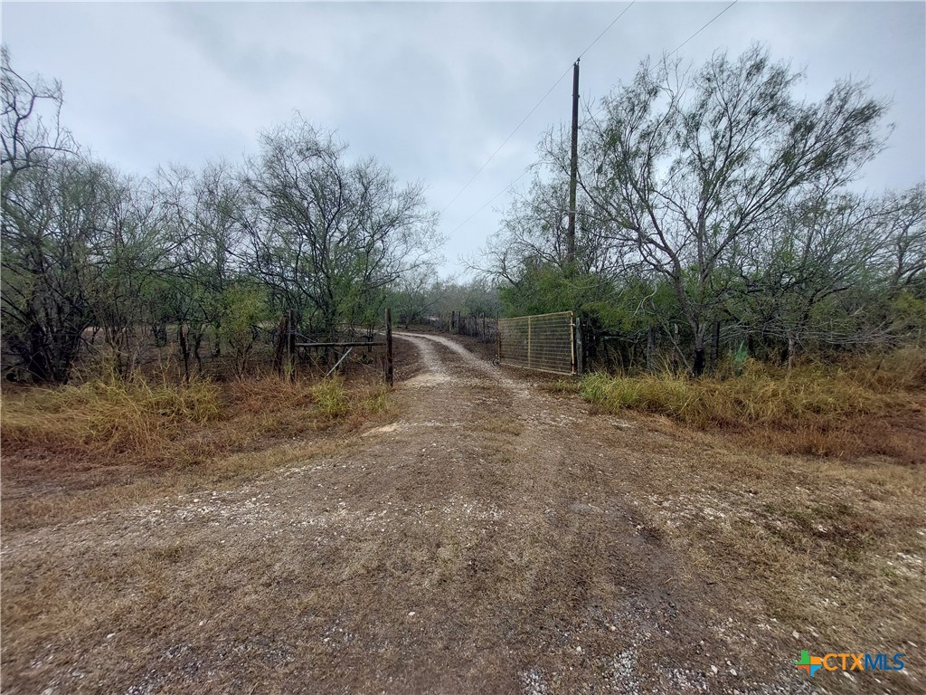 22159 Private Road 1080 Mathis, TX 78368 - Photo 2 of 12 a view of a forest with trees in the background