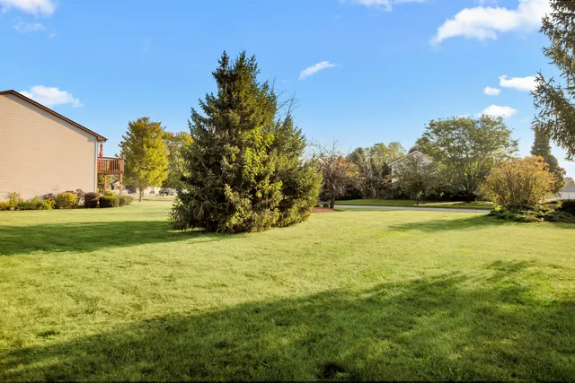 a view of a field with large trees