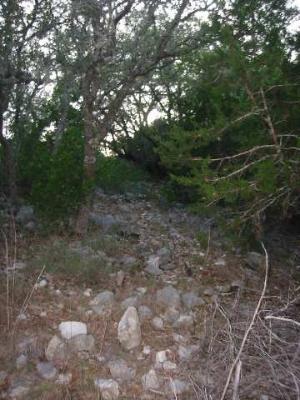 17550 County Road 175 Helotes, TX 78023 - Photo 11 of 16 a view of a forest with trees in the background
